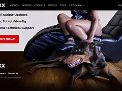 jazzy jamison dominates in facesitting fetish, interracial goddess vibes! 👸🏾