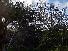 Brazilian Pornstars In Paradise Sex!