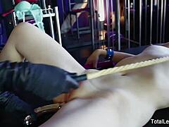 i can’t believe this milf and teen fucked our maid!