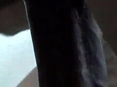 latina chick takes big black cock for creampie?