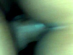 Shemale black amateur with ebony ass and cock