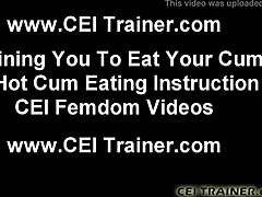 You jerked off again, didn't you