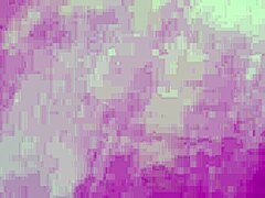 vivi guedez oficial made adult film without husband knowing