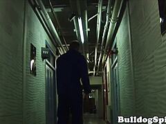 Hunky dom assfucking British stud doggystyle! So intense!