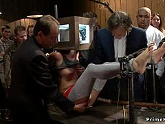 hey, you think bill bailey can anal fuck cassandra nix like this outdoors?