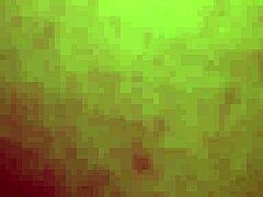 stop studying and suck my dick