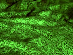 Teen Brunette Redhot Fox Bent Over For Rough Sex And Blowjob Before Riding Hard