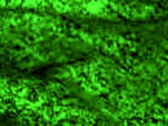 Teen Brunette Redhot Fox Bent Over For Rough Sex And Blowjob Before Riding Hard