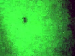 Young teens engage in passionate sex sessions