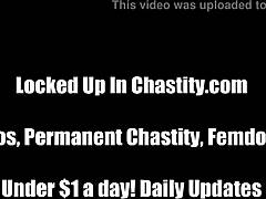 A chastity device will keep you out of trouble