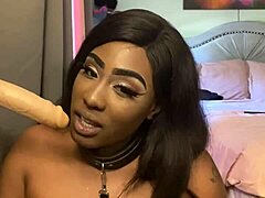 Lexo Butterflys Sucks That Cock Off the Wall