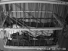 Gay bound in cage cam feed