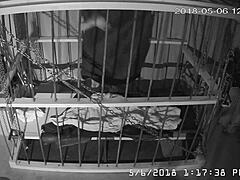 Gay bound in cage cam feed