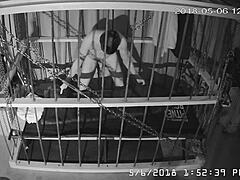 Gay bound in cage cam feed