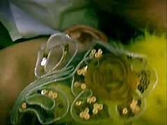 trimmed video clip from add501bc-3279-4e48-b8bb-3c8606442831