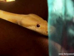 beautiful indian dance got me so turned on! 🔥