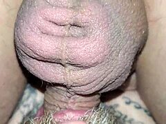 Fucking Swa8 Hardcore Gay Action