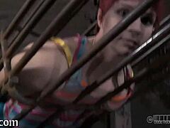 upside down sweetheart gives blowjob