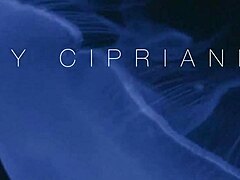 Rekonfiguration 11 - Nothing But Everything