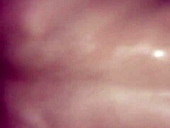 latin dick going down on gay guy