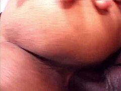 Brazilian Threesome Dancing With Asses Shaking 😘