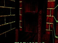 Exploring the harem hotel in this erotic game.