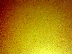 Mexican amateurs bend over for doggystyle pounding