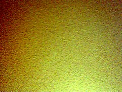 Mexican amateurs bend over for doggystyle pounding