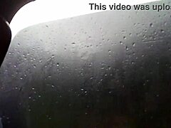 Outdoor Video Recorded On January 29, 2018 At 12:13:06