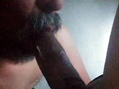 Shemale with monster black cock gets sucked hard