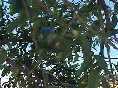 haha, pissing from a tree at gral paz, crazy right?