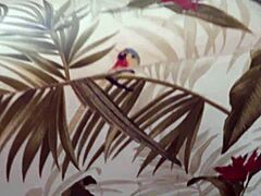 The mature gay man enjoys black rods with blowjob and masturbation