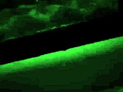 Hot gay guys having passionate sex together 😘