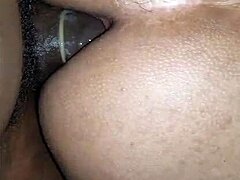 amateur gay interracial fun 😏