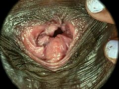 Intriguing close-up of hairy pussy in sweet nest hd sex scene. By rumesco.