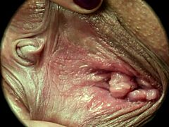 Intriguing close-up of hairy pussy in sweet nest hd sex scene. By rumesco.