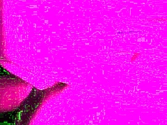 Quick doggystyle session with cougar.