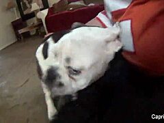 capri cavanni bts fucking hard