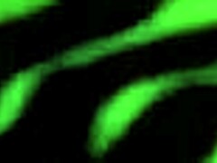 Dirty Talking Latina Bent Over for Rough Anal!