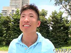 Gay sex scenes in video collection