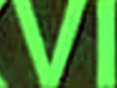 jody morrison is the best dick sucking jamaican teen