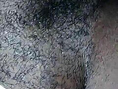 Big L Amateur Action Sparks Wild Curiosity