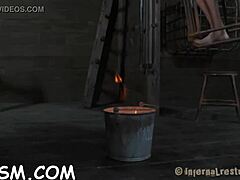 Gagged and fastened up serf is being pleasured with vibrator