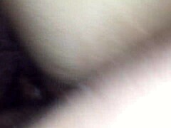 Europa Brazilera In Florida