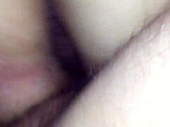 Europa Brazilera In Florida