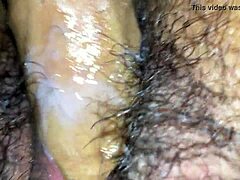 Europa Brazilera In Florida