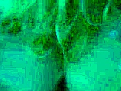 My husband and i enjoy oral sex