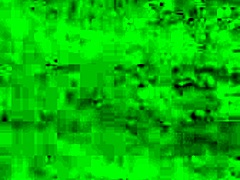 My Tuesday jumpoff features ebony amateur with big ass and wet pussy in homemade black video