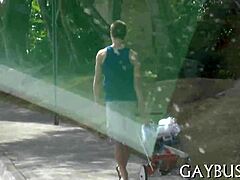 Fellows Engage In Intense Homosexual Sex