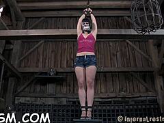 Brunette babe poses without bra.